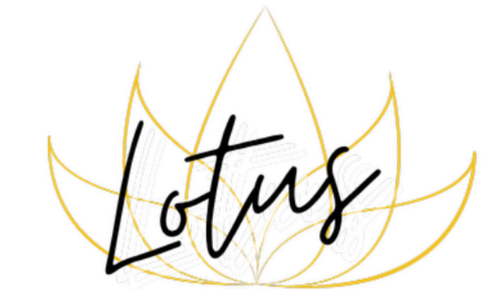 Projeto para estruturar meu negocio 