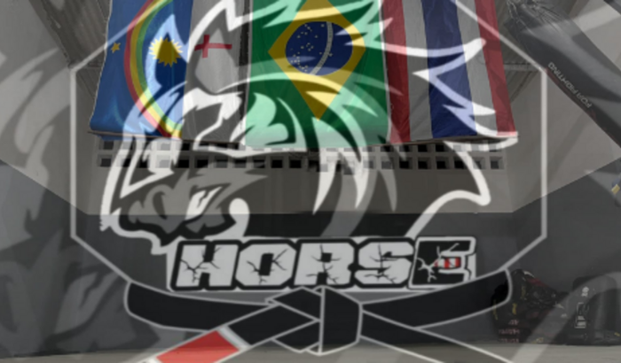 Cronômetro Digital para o CT Horse