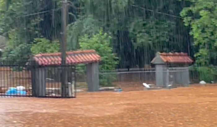 Ajuda para a vó Alzira devido a enchente