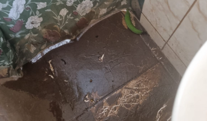 Ajuda-me a comprar meus móveis