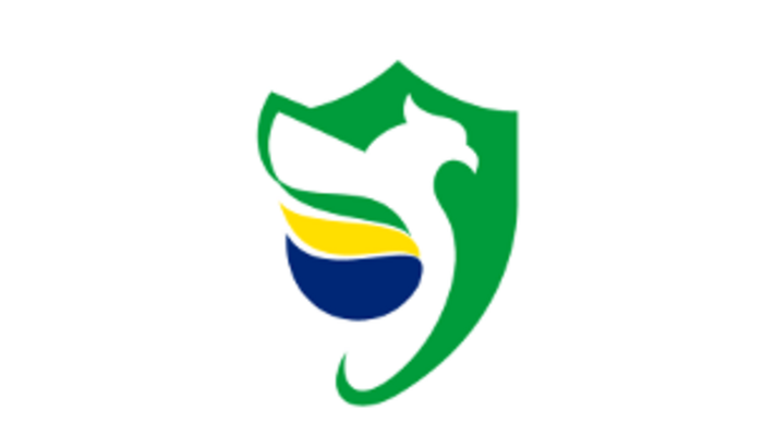 Pan-Americano de Dodgeball - 2023