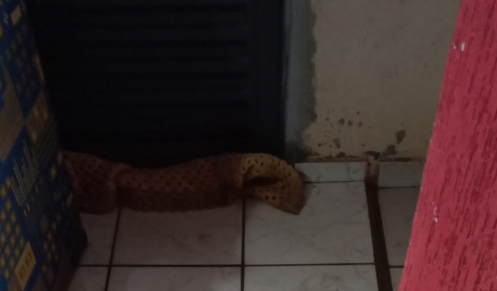 Reforma da minha casa devido a chuva.