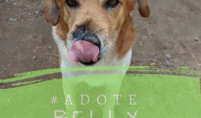 Presente de Natal para a Belly 