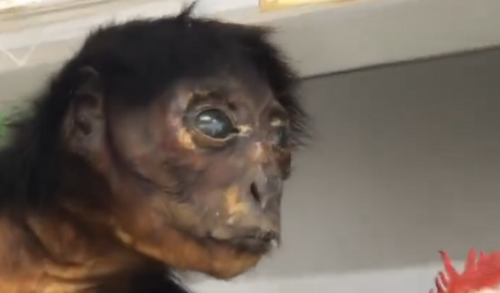 AJUDE JOÃO PASSA FOME.