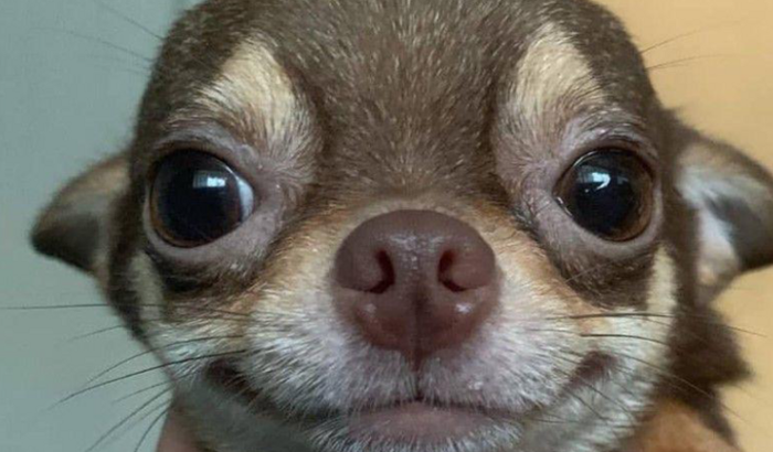 economia para viagem