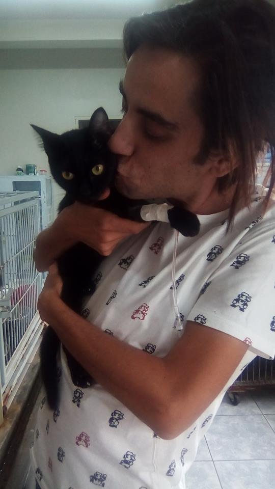 imagem da vaquinha Ajuda para a gatinha Nóia 