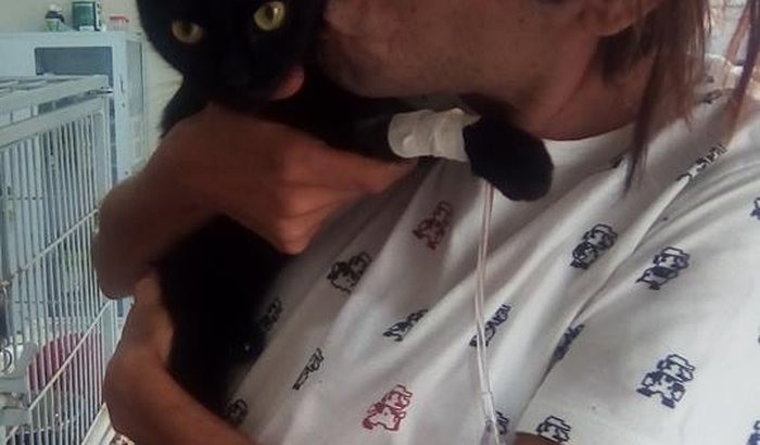 Ajuda para a gatinha Nóia 