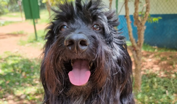 Me ajude a continuar a viver