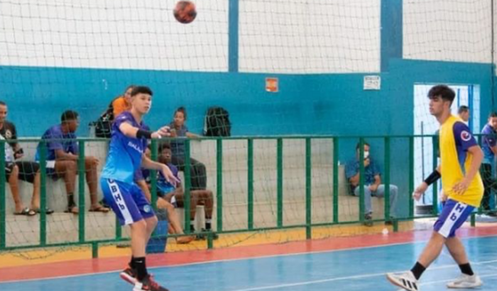 Brasileiro de seleções juvenil 