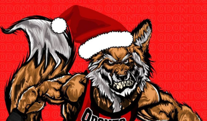 Decoração de Natal da 9