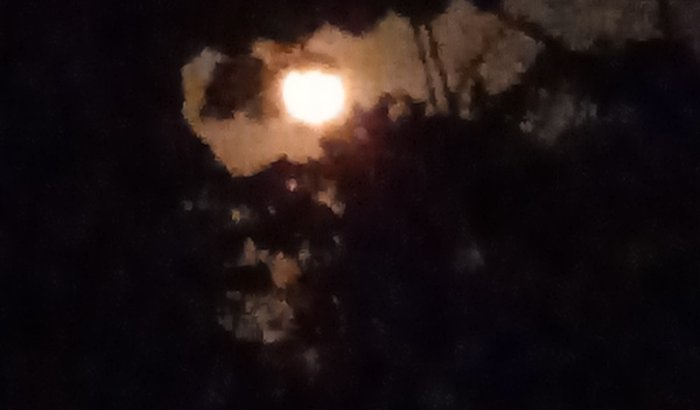 Campeonato Paraense - Ginasta Rebeca Gabrielly