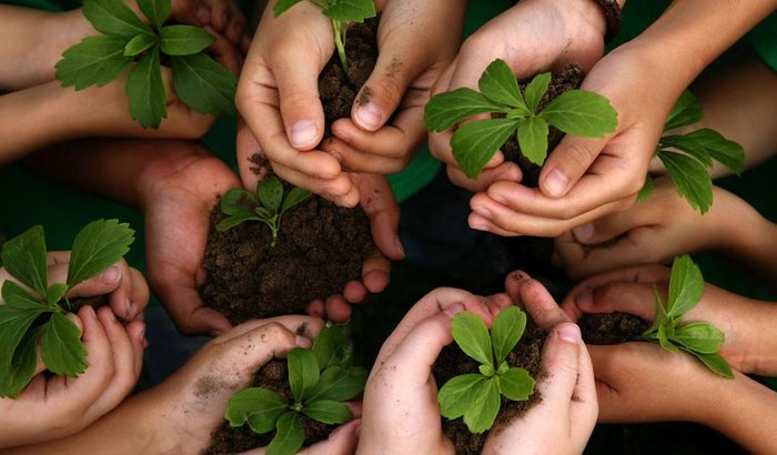 Sustentabilidade-ação escolar