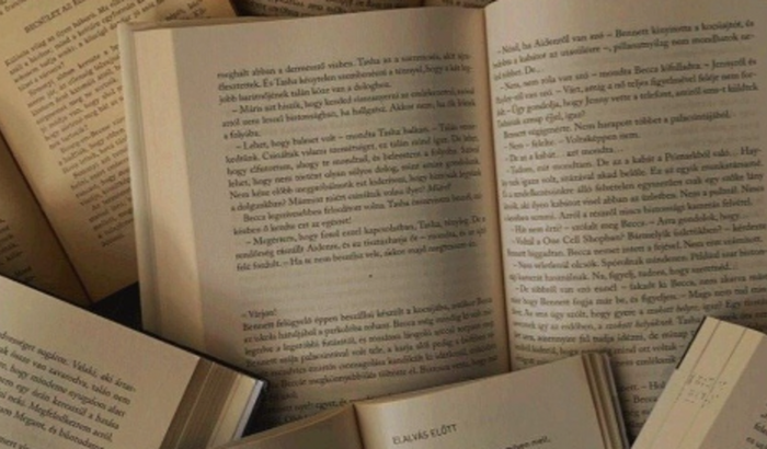 Arrecadação para feitura do livro - Fernanda e Eliel