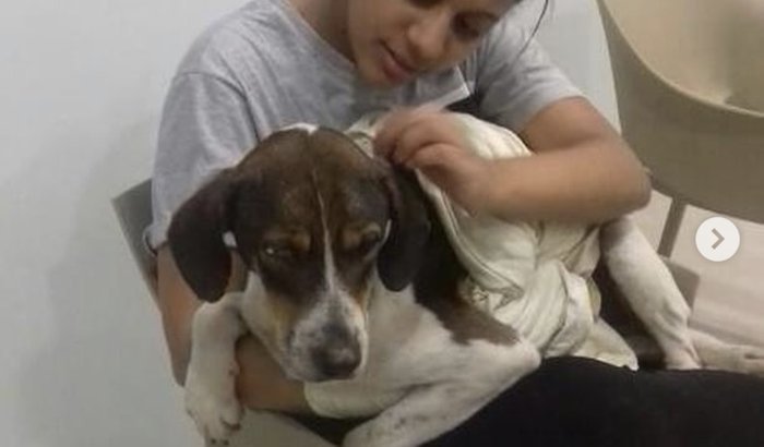 Cirurgia de reabilitação do FRED, o doguinho