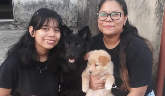 Transporte de viagem para as dogs Yang e Lexie