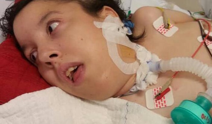 Ajude a Cris a Voltar Para Casa