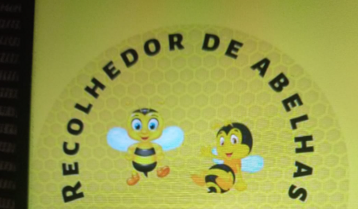 Ajuda para comprar um carro para o recolhedor de abelha