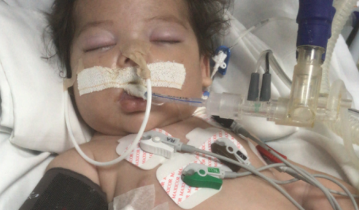 UTI para a princesa ESTHER