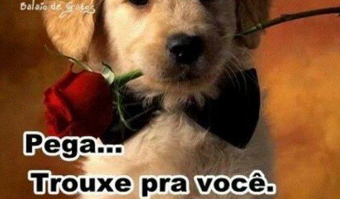 Me ajudem a comprar minha casa..moro d aluguel e ta tao dificil ..mas Creio q Tudo vai melhorar..ja esta Melhorando🙌