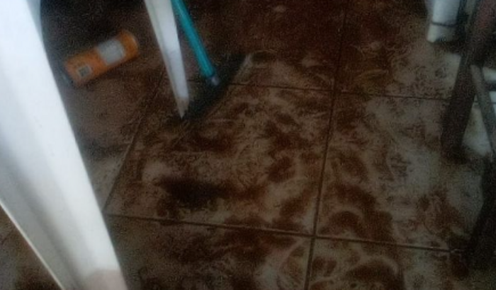 Ajude para Lisi que perdeu tudo na enchente