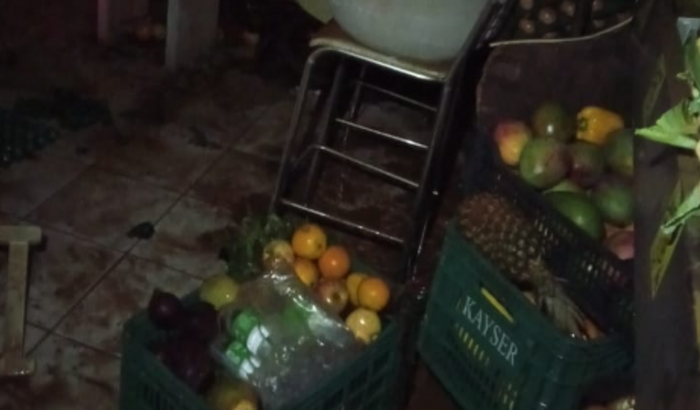 Reconstrução da fruteira da Ju e ajuda em geral para São Sebastião do Caí 