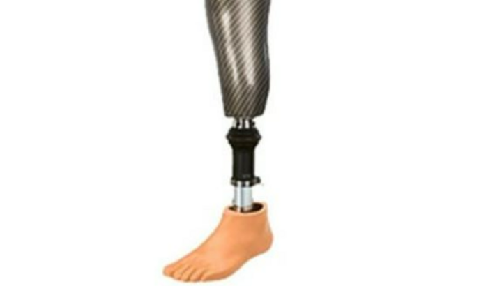 Ajuda para compra de prótese endoesquelética