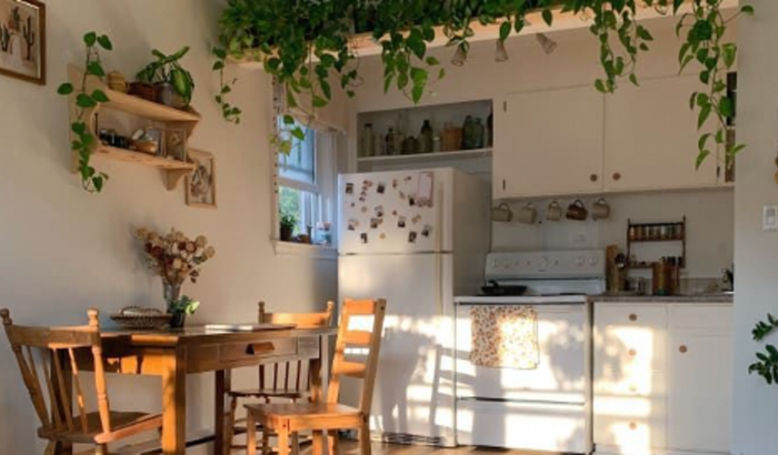 Me ajude a começar a morar sozinha :)