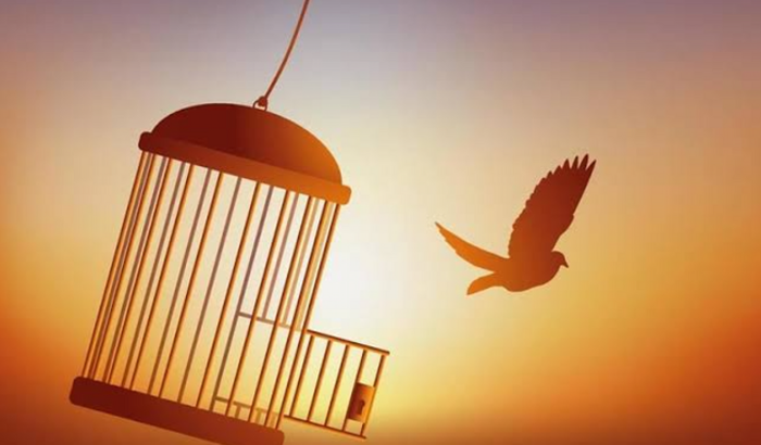 Ajude a realizar meu sonho 