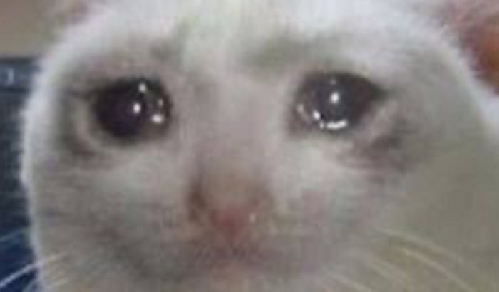 Me endividei com casas de aposta me ajudem por favor