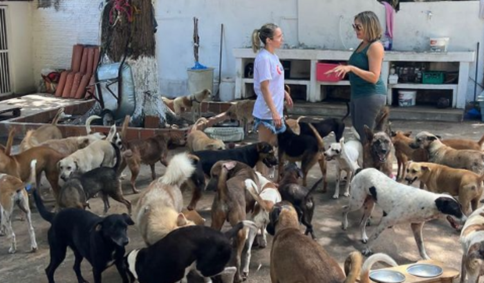 Aniversário Solidário da Ruth - 25 anos 🐾🎄