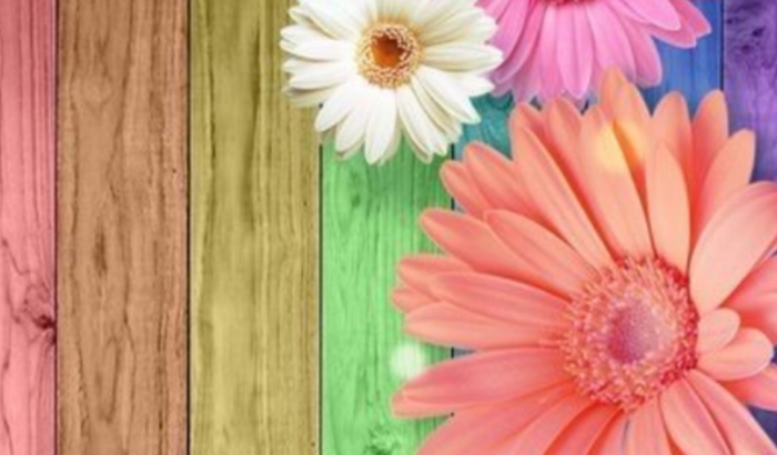 Concluir meu curso de prótese capilar 