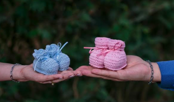 Revelação Alice ou Mateus 