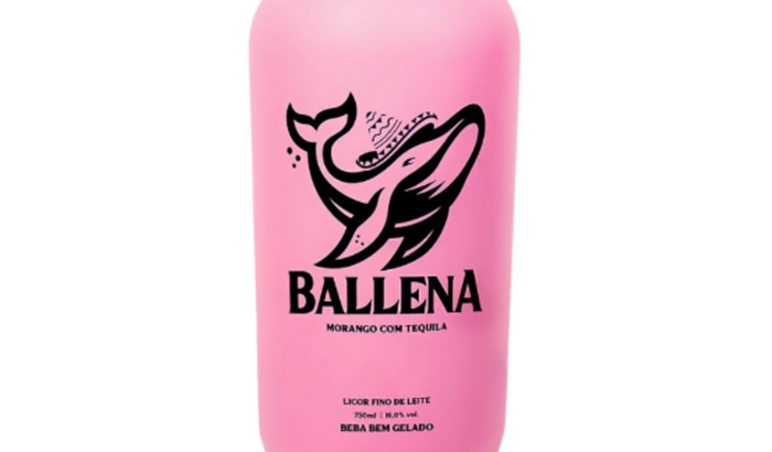 𝐀𝐣𝐮𝐝𝐚 𝐩𝐚𝐫𝐚 𝐜𝐨𝐦𝐩𝐫𝐚𝐫 𝐮𝐦 𝐛𝐚𝐥𝐥𝐞𝐧𝐚