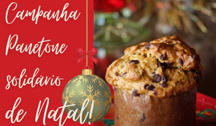 Panetone Solidario 