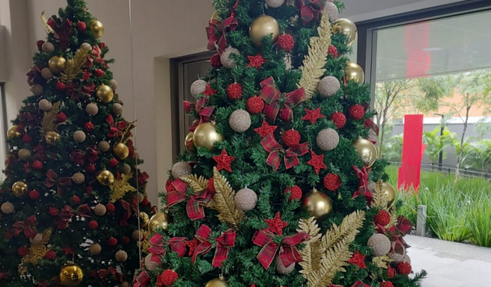 Gratificação Natalina EDGE