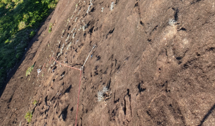 Duplicação da A Vaca da Sua Mãe