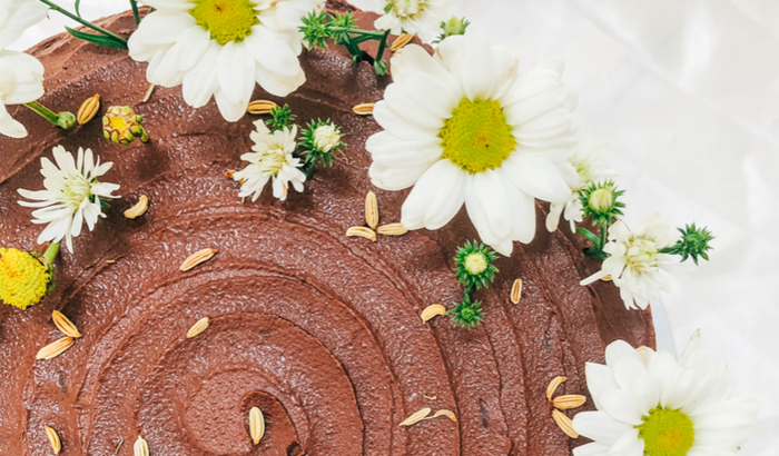 Me ajude a comprar um fogão profissional 