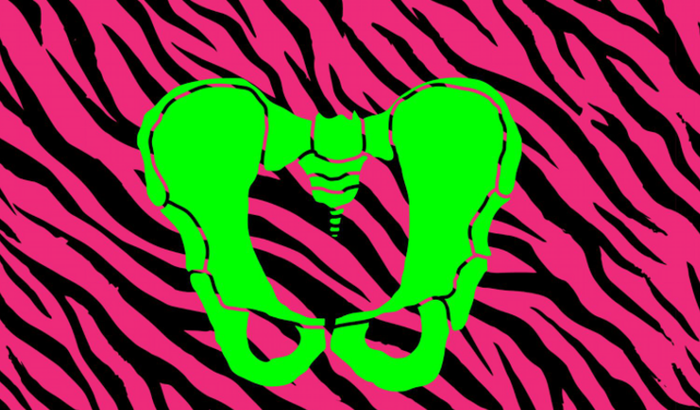 Venha contribuir com o Cortejo Pelvika de rua!