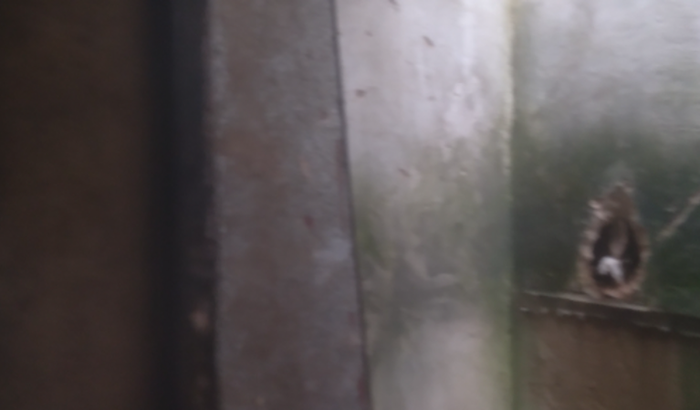 Alimentaçao tenho 3 filhos sozinha 