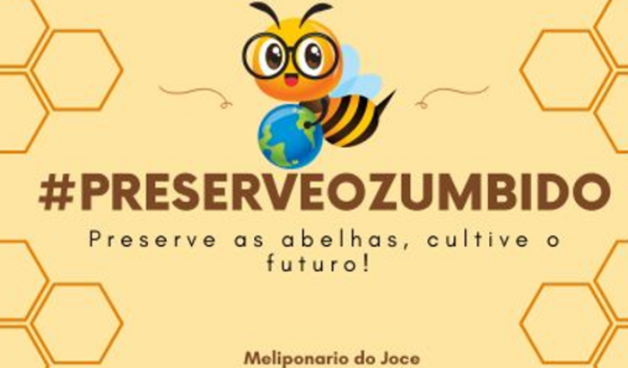 ZumbiVida: Cultivando o Meliponário Sustentável