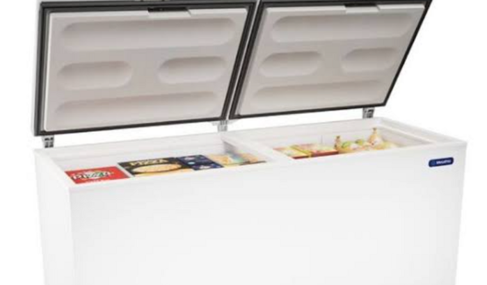 Preciso comprar um frizzer para vender peixe em casa