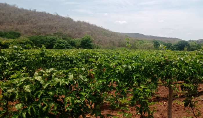 Energia solar no sítio