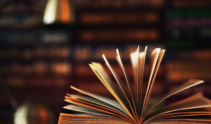 Escrever meu livro e publicar