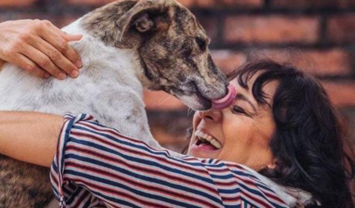 Ração animais de Ana Rita Tavares