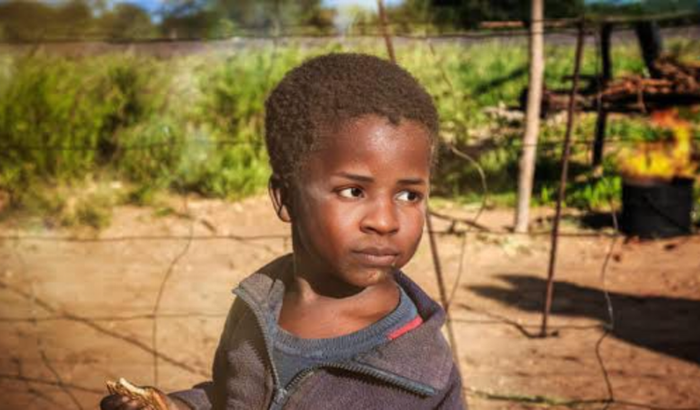 Ajude o Junin a comprar comida