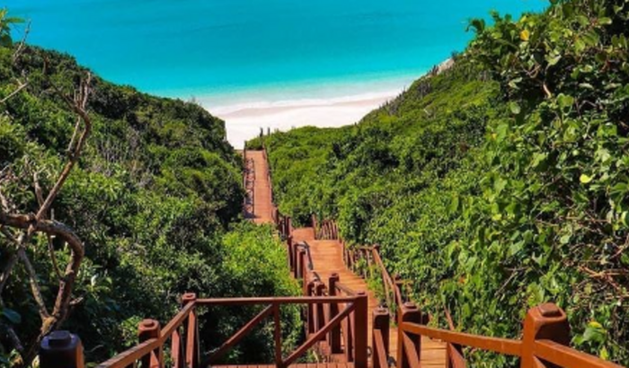 AJUDE OS PRIMOS A FAZER UMA PEQUENA VIAGEM