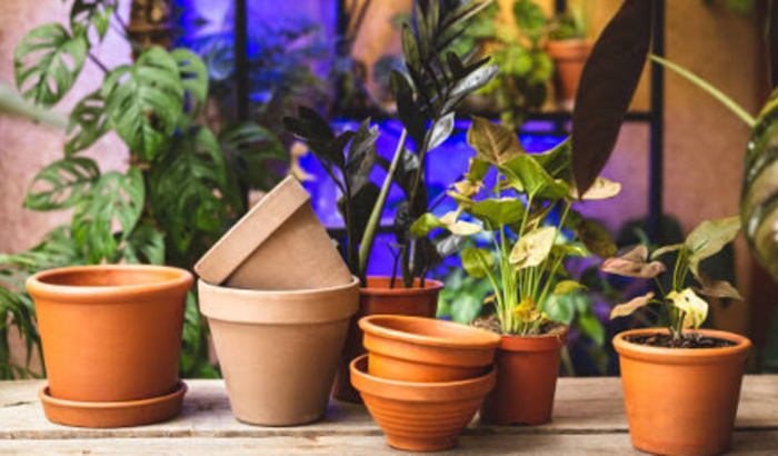 Me ajude a empreender no meu negocio 