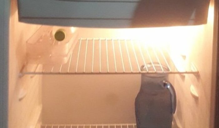 Ajuda para Alimentação básica devido problema de saúde 