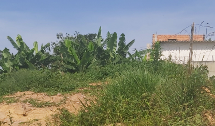 Construir um sonho moradia propria