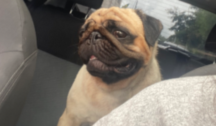 Ajude o chico a realizar uma cirurgia